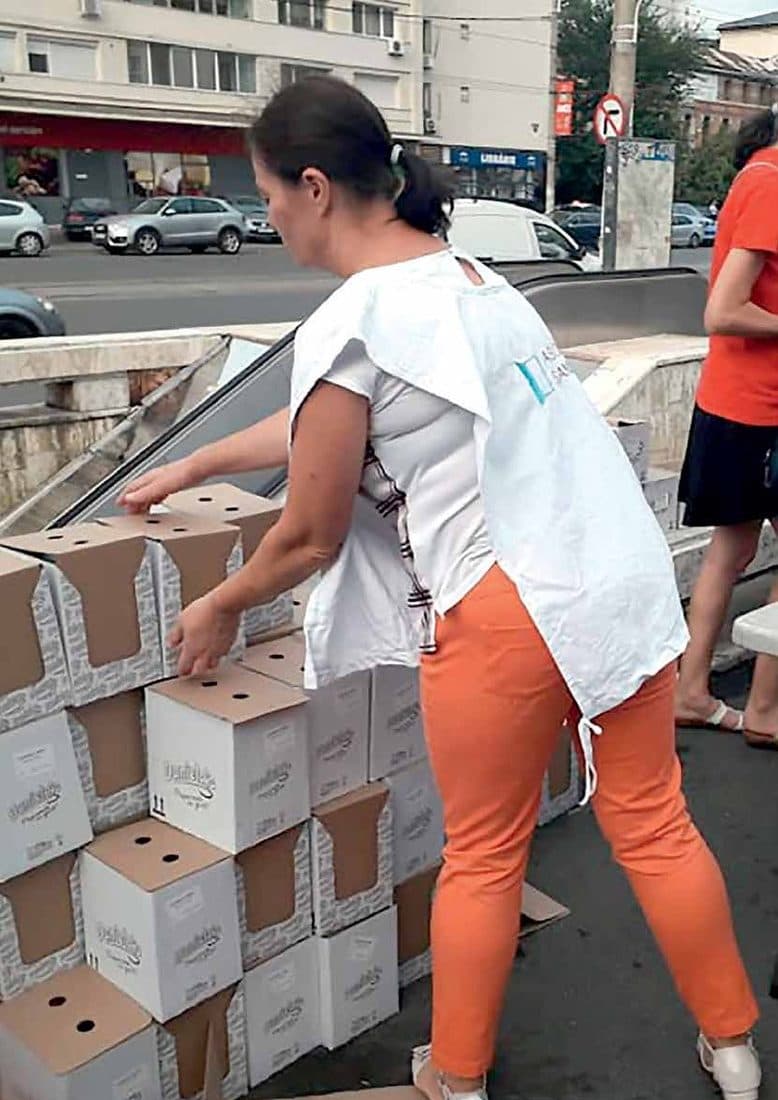 Din activitatea Asociației Șansa Ta, 2025